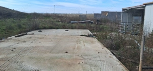 Ferma de vanzare , zona Dambu - imagine 6