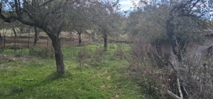 Ferma de vanzare , zona Dambu - imagine 10