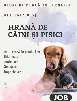 Muncitori fabrică hrană câini pisici - Germania