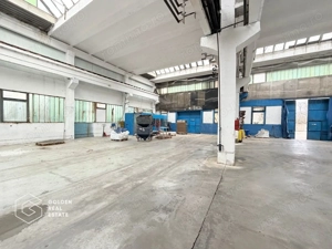 Hala industriala cu pod rulant, Sanicolau Mic, suprafata 1.187 mp