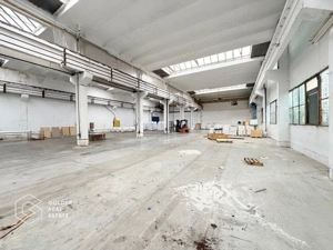Hala industriala cu pod rulant, Sanicolau Mic, suprafata 1.187 mp