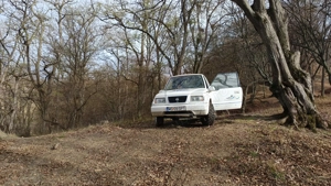Suzuki Vitara Cabrio 