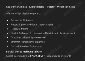 Reparatii diverse - imagine 2