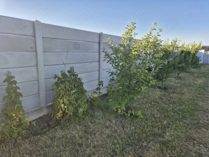 Teren de 1180 mp cu anexa intabulata in Cristian - imagine 7