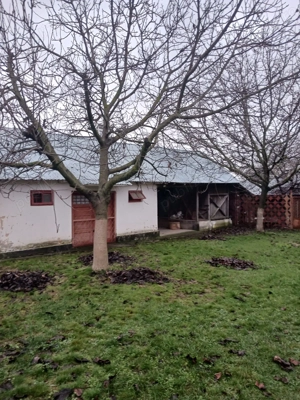 Casă cu teren de vânzare în comuna Verguleasa, județul Olt - imagine 3