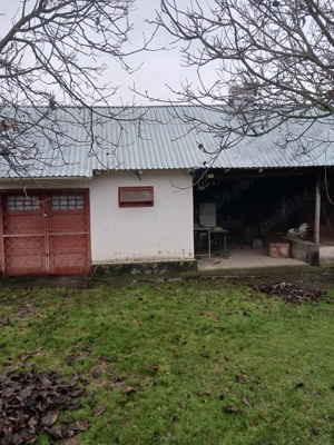 Casă cu teren de vânzare în comuna Verguleasa, județul Olt - imagine 4