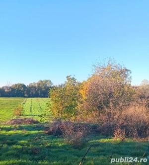 Teren intravilan agricol de vânzare în comuna jilava  - imagine 2