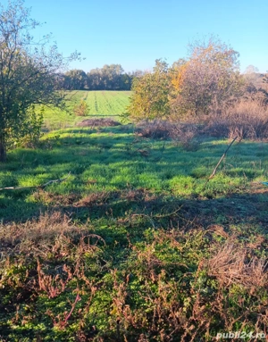 Teren intravilan agricol de vânzare în comuna jilava 