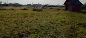 Vând teren 20 ari langa centura Satu Mare zona Ratu Mare-Balta Blondă.