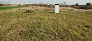 Vând teren 20 ari langa centura Satu Mare zona Ratu Mare-Balta Blondă. - imagine 4