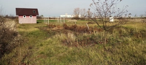 Vând teren 20 ari langa centura Satu Mare zona Ratu Mare-Balta Blondă. - imagine 10
