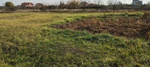 Vând teren 20 ari langa centura Satu Mare zona Ratu Mare-Balta Blondă. - imagine 9