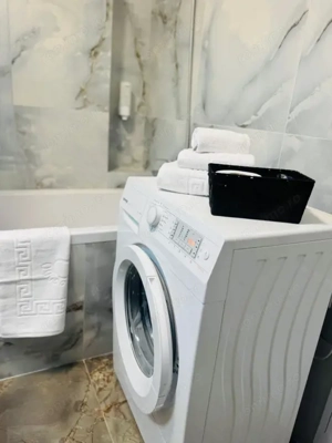 APARTAMENT 1 CAMERA, ETAJ 1, MOBILAT SI UTILAT, POPAS PACURARI - imagine 5