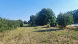 Teren intravilan Baba Ana - Prahova - imagine 5