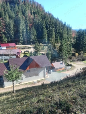 Cabana de închiriat 