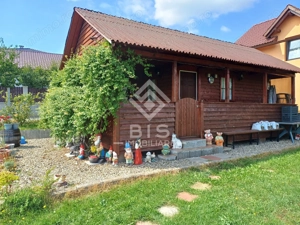 Teren intravilan 983 mp + cabană, curent trifazic,  Zonă linistită - imagine 2