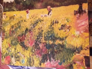 Teren agricol extravilan 