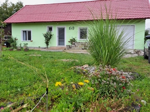 Casa cu teren 2700 mp la 22 km de Oradea - imagine 3