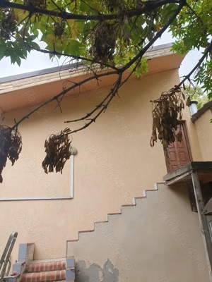 VAND 960 mp pe Rebreanu , - imagine 5