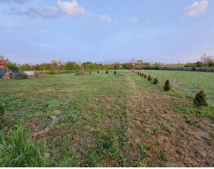 Casa cu teren 2700 mp la 22 km de Oradea - imagine 5