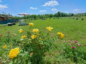 Casa cu teren 2700 mp la 22 km de Oradea - imagine 6