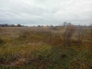 Casa Bodesti 50mp 2 camere bucataria anexe la sosea cu 1500mp teren lumina ,fintina cu apa  - imagine 3