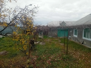 Casa Bodesti 50mp 2 camere bucataria anexe la sosea cu 1500mp teren lumina ,fintina cu apa  - imagine 8