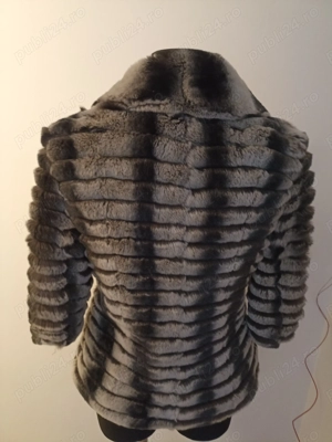 Blana naturala Rex Chinchilla, S - imagine 2