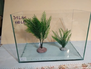 Acvarii Pitești  - imagine 3