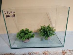 Acvarii Pitești  - imagine 2