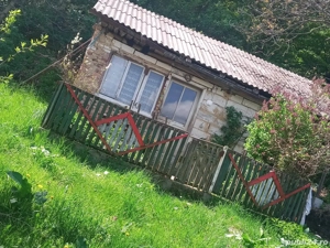 vand teren,coliba,pomi fructiferi pret la telefon 