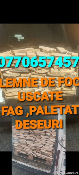 Vînd Lemne de foc USCATE Fag Paletat Deseuri 