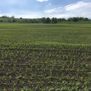 Teren de vanzare Tarnaveni - imagine 2