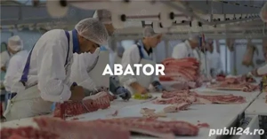  LOCURI DE MUNCĂ   Germania (Abator porc )