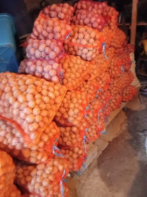 Cartofi de samanta - imagine 2