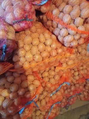 Cartofi de samanta - imagine 4