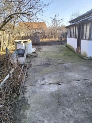 Casa de vanzare Vanju Mare - imagine 6