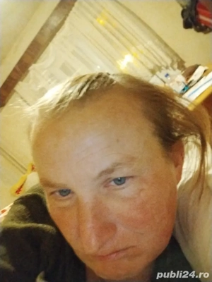 menaj  Timișoara arad caras