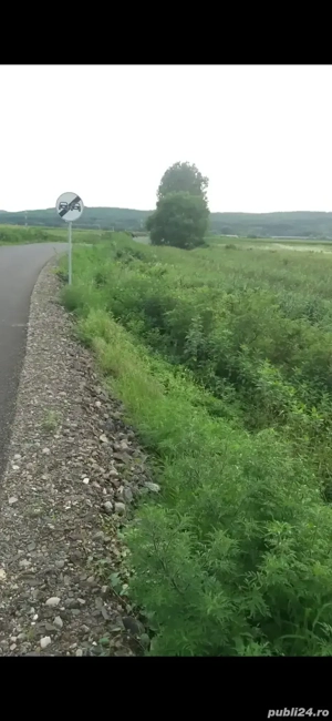 Arendez teren 1,20 hectar la pod Ardusat