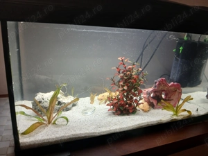 Vand acvariu cu accesori multiple - imagine 2