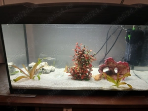 Vand acvariu cu accesori multiple - imagine 5