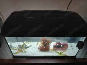 Vand acvariu cu accesori multiple - imagine 3