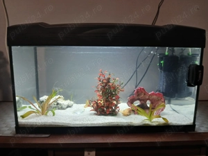 Vand acvariu cu accesori multiple