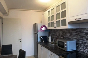 GARSONIERA 46MP ODAI OTOPENI - imagine 4