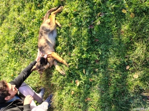 Catelusa de vanzare - imagine 4