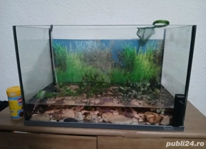 Acvariu 60 L - cu toate accesoriile incluse 