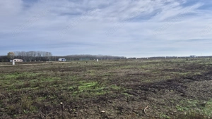 Loturi de teren 638 mp - curent tras la teren - Crevedia - imagine 7