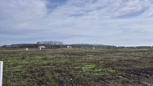 Loturi de teren 638 mp - curent tras la teren - Crevedia - imagine 6