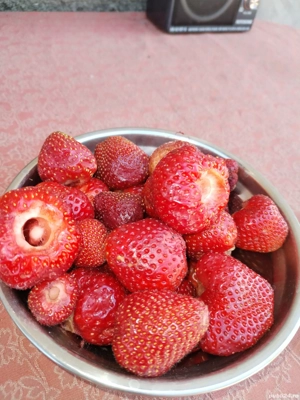 Vand teren cu casa in Varsatura - imagine 5