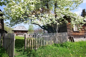 Vânzare ansamblu de 5 căsuțe tradiționale Maramureș/ Botiza - imagine 9